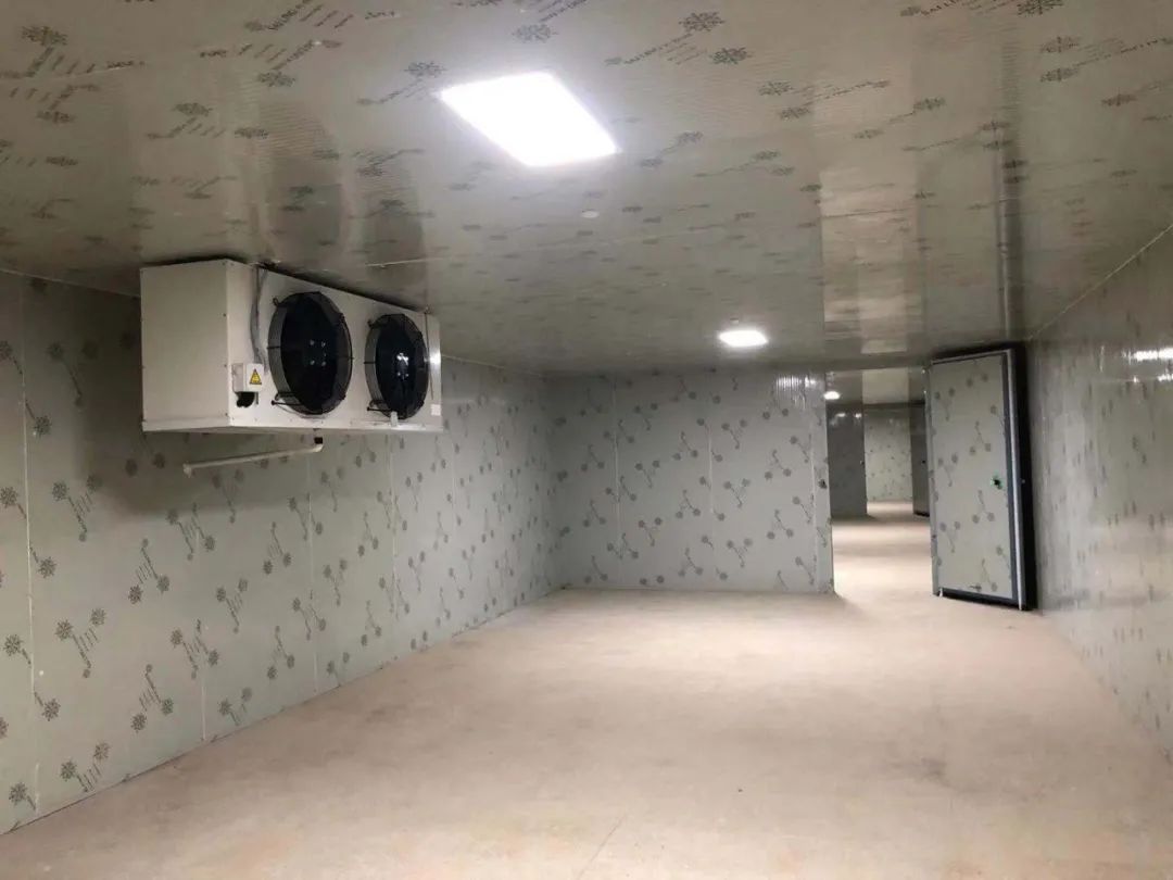 屯留气调保鲜冷库造价